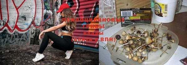 синтетический гашиш Абдулино