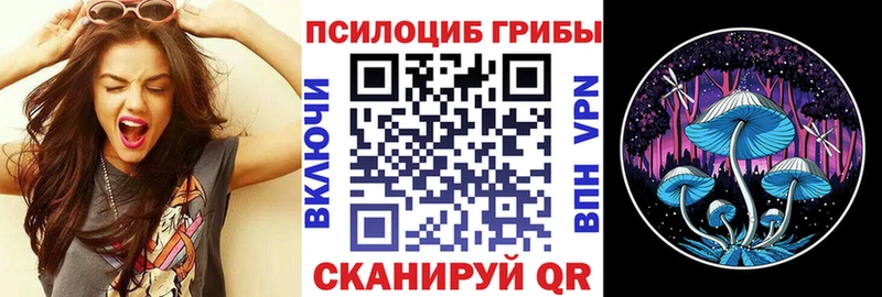 Псилоцибиновые грибы MAGIC MUSHROOMS  дарнет шоп  Азнакаево 