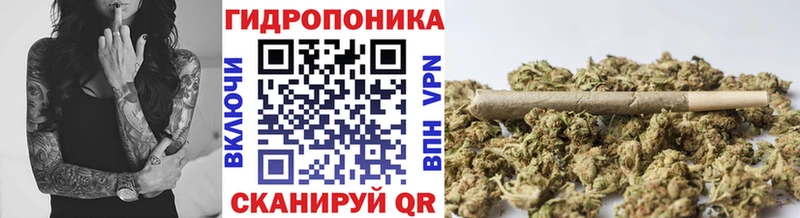 Шишки марихуана марихуана  Азнакаево 